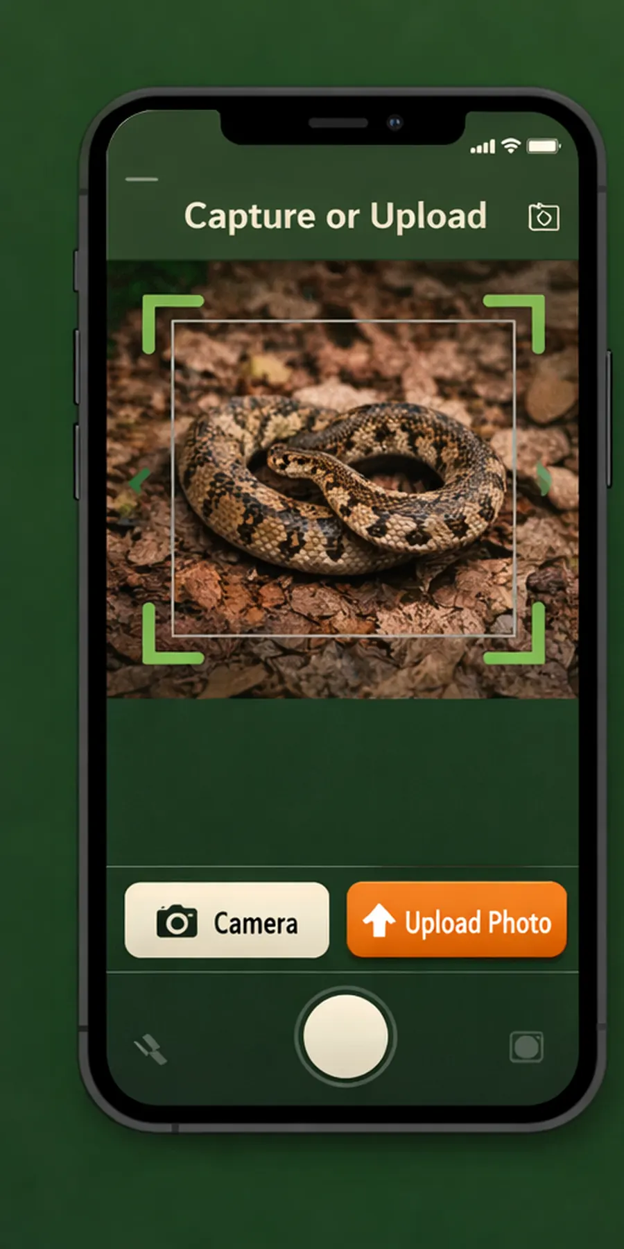 Uploading a safe snake photo