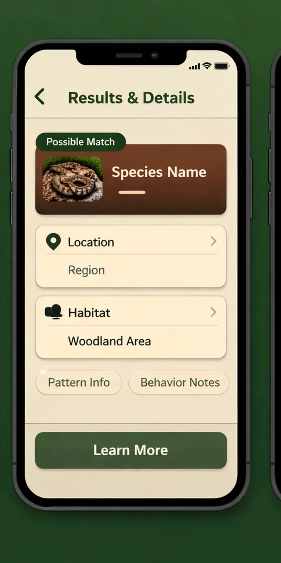 Reviewing snake identification clues